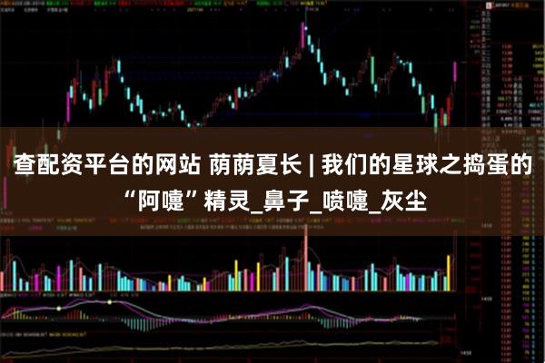 查配资平台的网站 荫荫夏长 | 我们的星球之捣蛋的“阿嚏”精灵_鼻子_喷嚏_灰尘