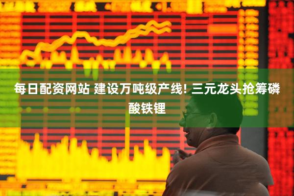 每日配资网站 建设万吨级产线! 三元龙头抢筹磷酸铁锂